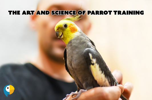 The Art and Science of Parrot Training: Your Comprehensive Guide to a Happy, Intelligent Pet
