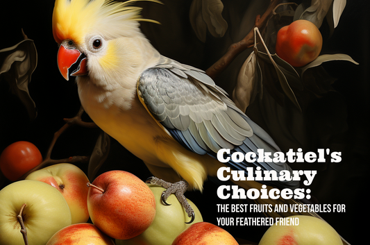 Cockatiel's Culinary Choices: The Best Fruits and Vegetables for Your Feathered Friend