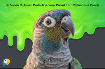 10 Foods to Avoid: Protecting Your Parrot from Poisonous Foods