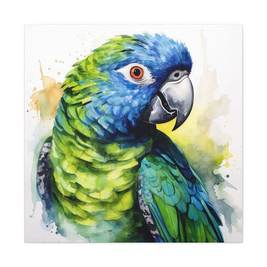 Pionus Parrot Canvas Gallery Wraps
