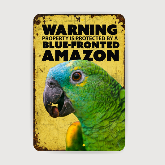 Blue Fronted Amazon Parrot Sign