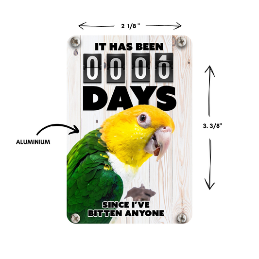 White Belly Caique Magnet