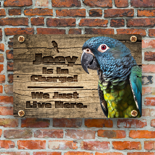 Pionus Parrot Personalized Aluminum Sign