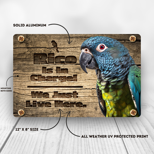Pionus Parrot Personalized Aluminum Sign