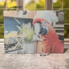 Scarlet Macaw Cutting Board