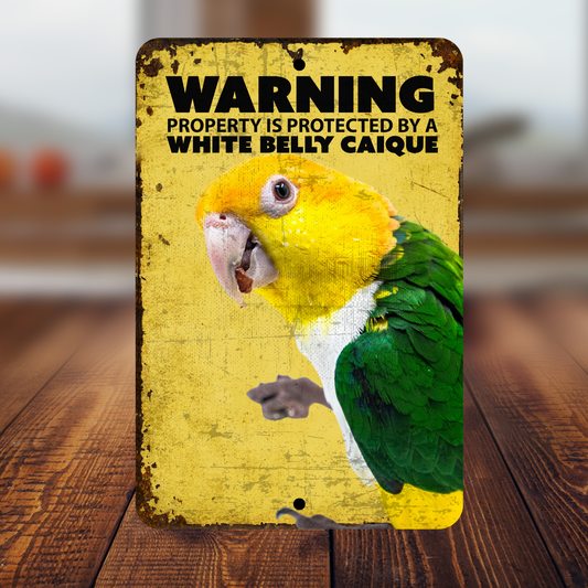White Belly Caique Parrot Sign