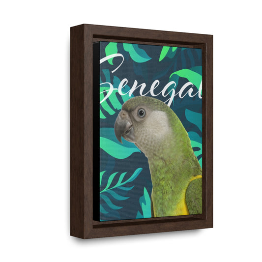 Senegal Parrot Gallery Canvas