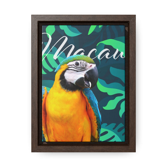 Macaw Gallery Canvas