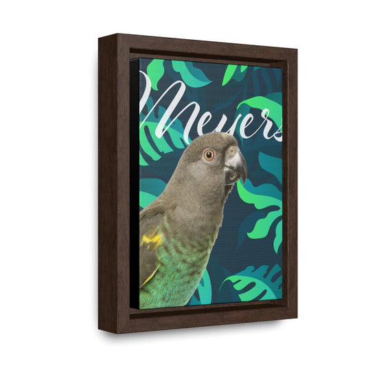 Meyers Parrot Gallery Canvas