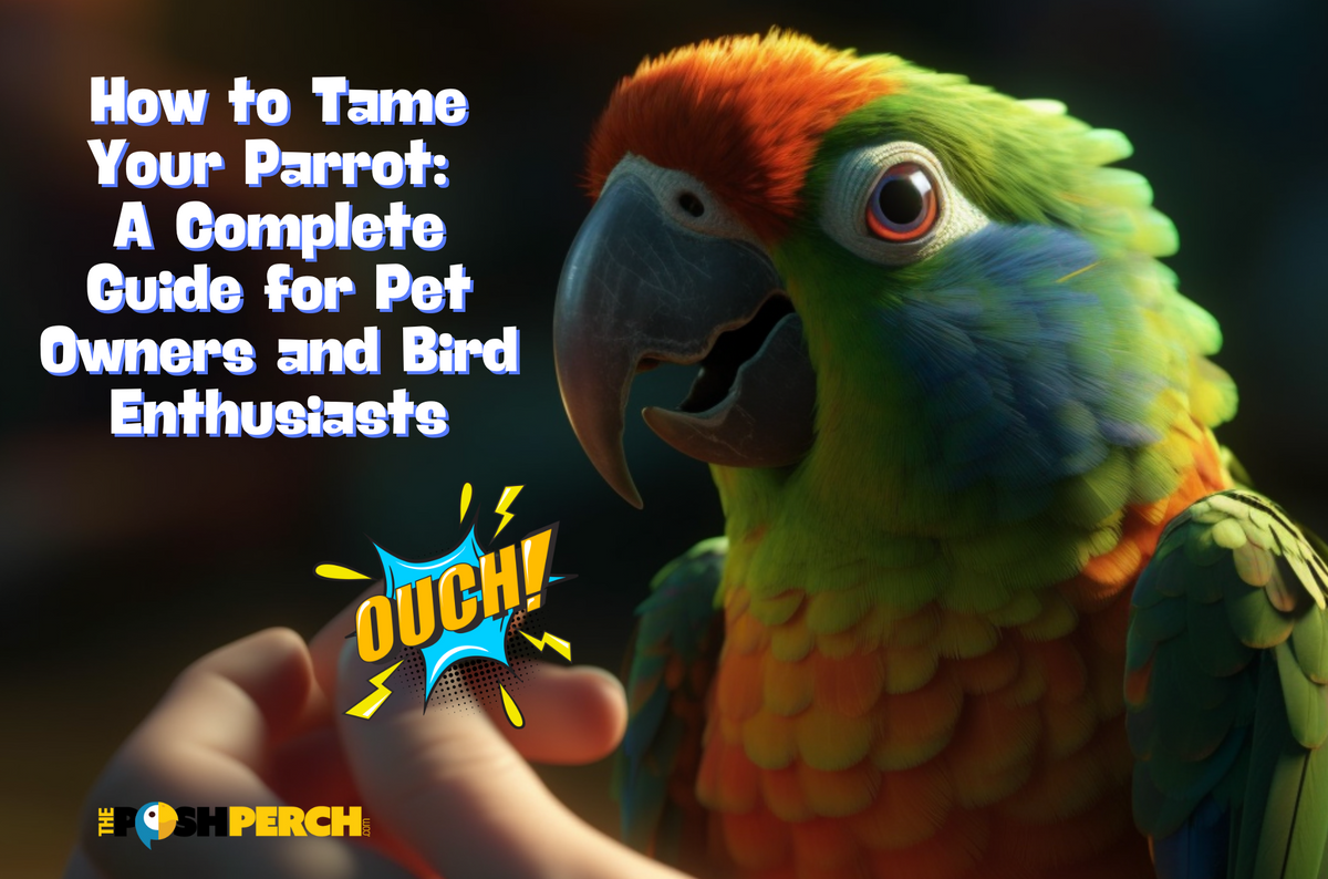 Timne Parrot How to Tame Your Parrot: A Complete Guide for Pet Owners and Bird Enth ...
