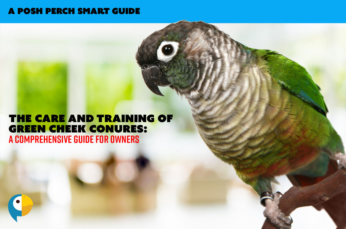 The Care and Training of Green Cheek Conures A Comprehensive Guide fo