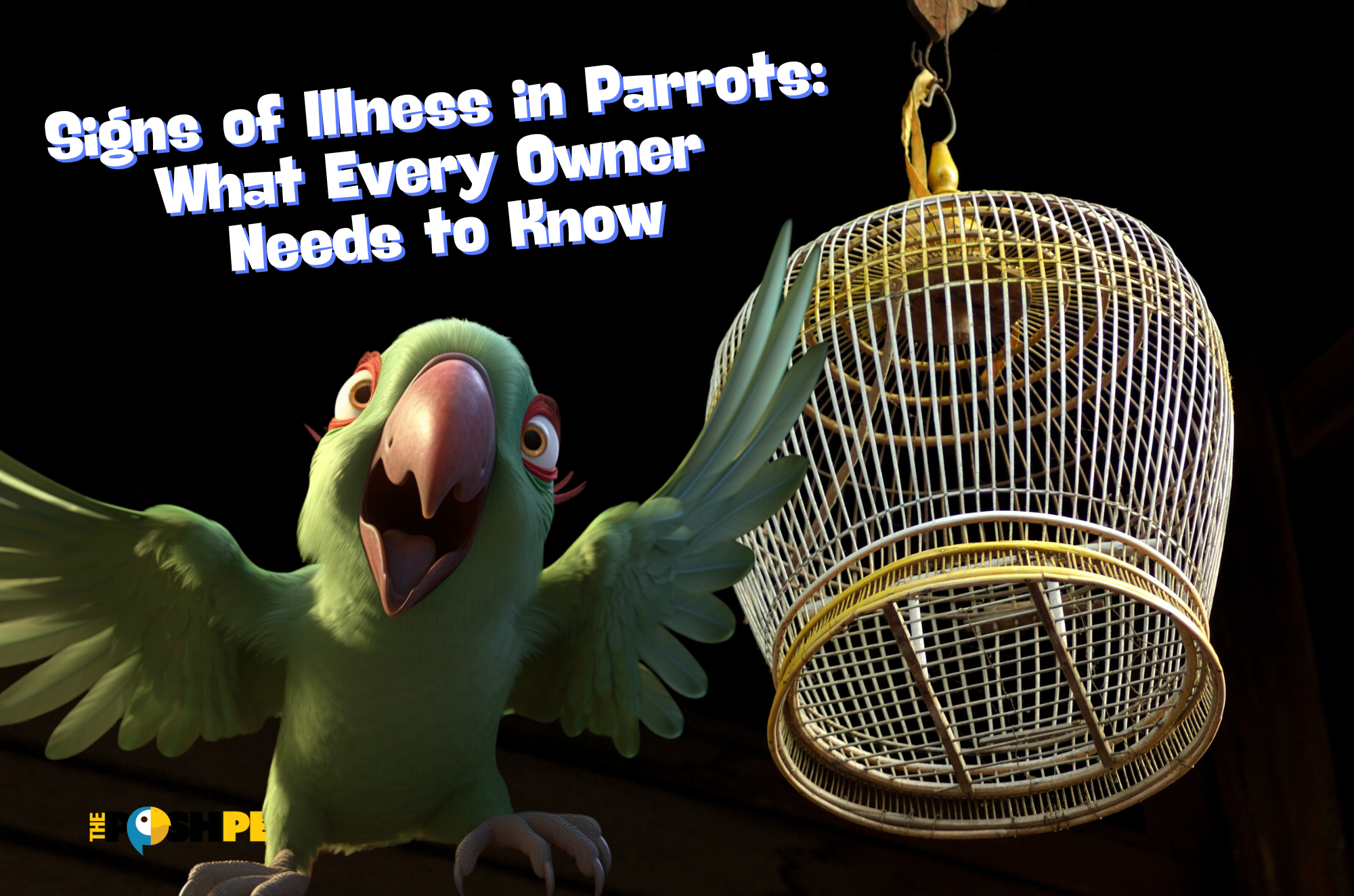 Signs of Illness in Parrots: What Every Owner Needs to Know