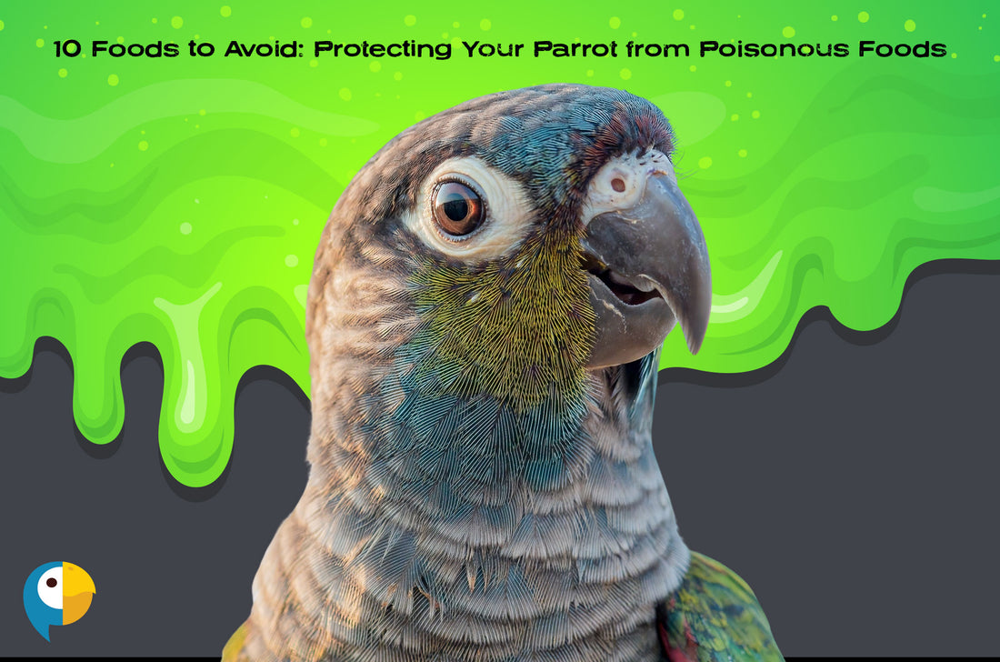 10 Foods to Avoid: Protecting Your Parrot from Poisonous Foods – The ...