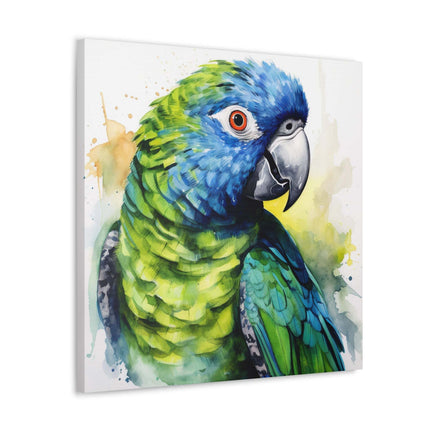 Pionus Parrot Canvas Gallery Wraps