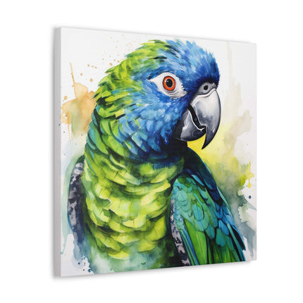 Pionus Parrot Canvas Gallery Wraps