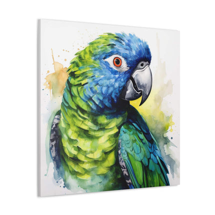 Pionus Parrot Canvas Gallery Wraps