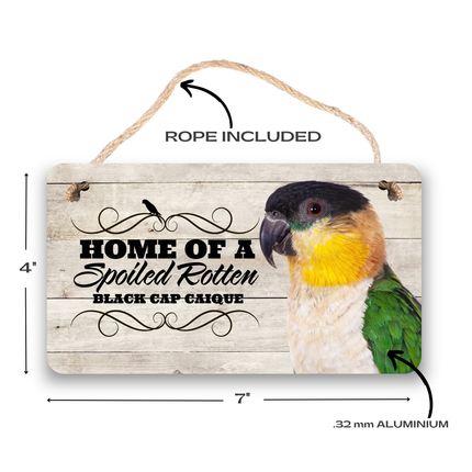 Whimsical bird decor showcasing pampered Caique