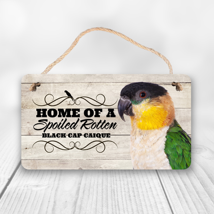 Black Cap Caique Spoiled Rotten Sign