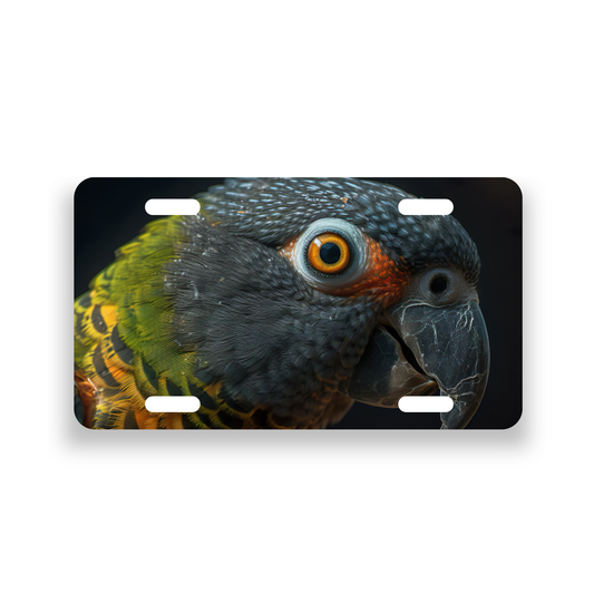 Senegal Parrot License Plate