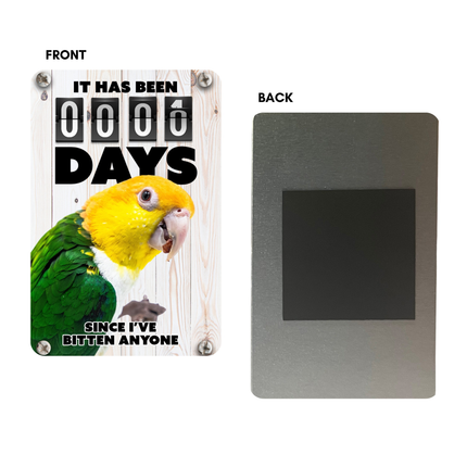White Belly Caique Magnet