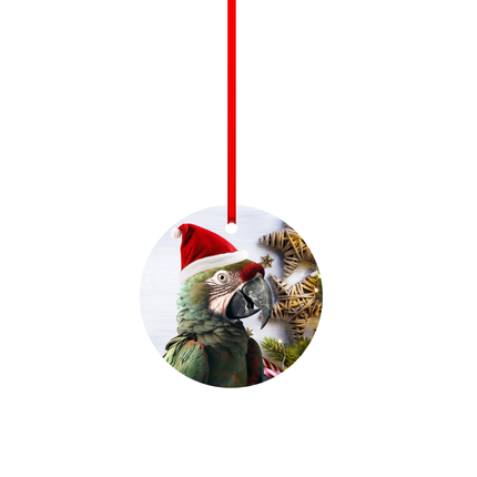 Military Macaw