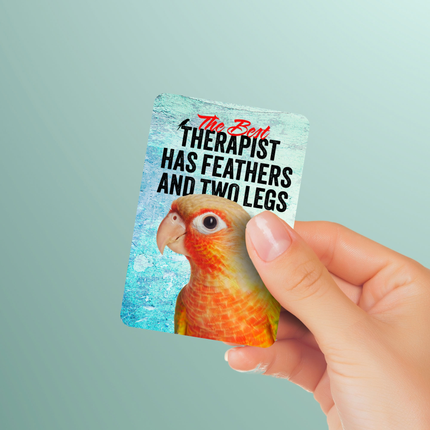 Pineapple Conure Magnet