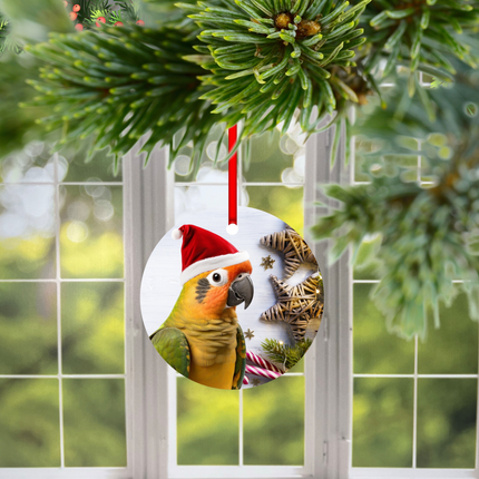 Pineapple Conure