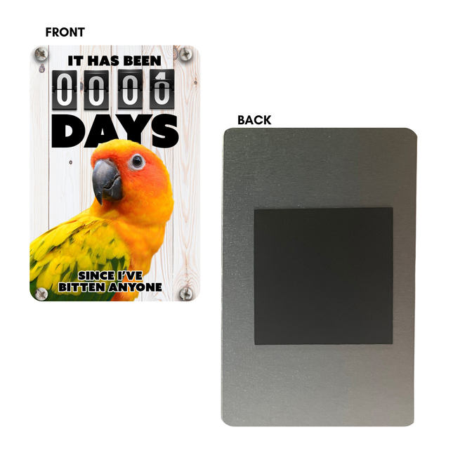 Sun Conure Magnet