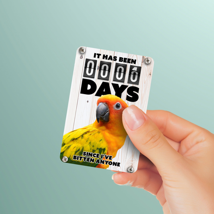 Sun Conure Magnet