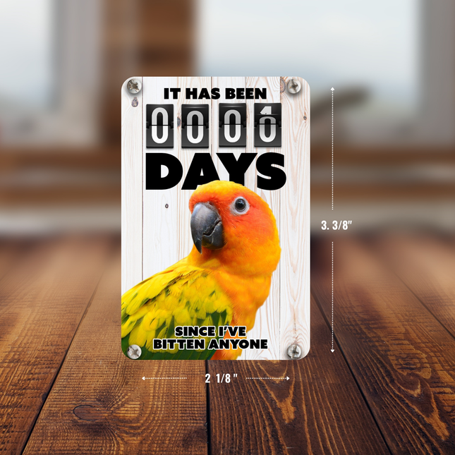 Sun Conure Magnet