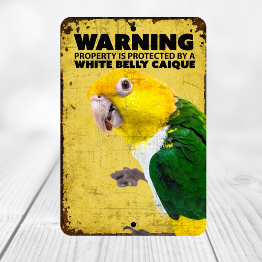White Belly Caique Parrot Sign
