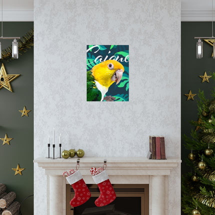 Caique Matte Poster