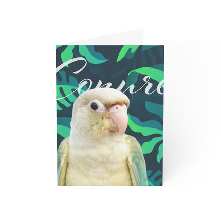 Green Cheek Conure Folded Greeting Cards (1, 10, 30, and 50pcs)