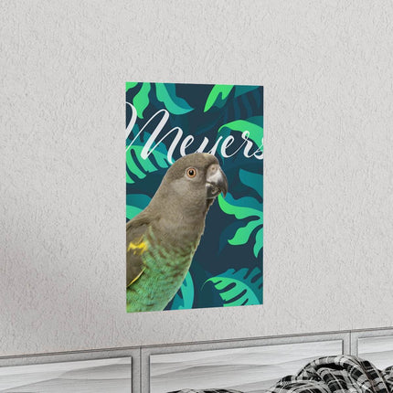 Meyers Parrot Matte Poster