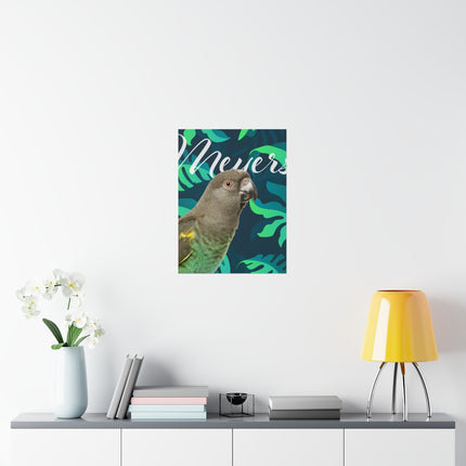 Meyers Parrot Matte Poster