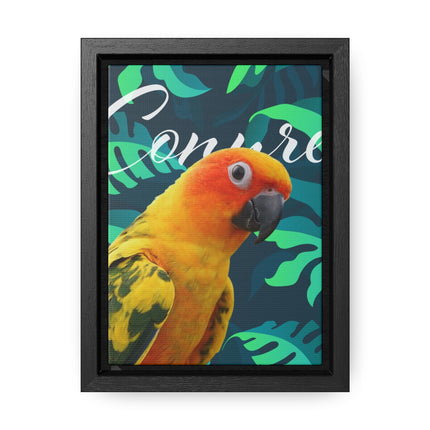 Sun Conure Gallery Canvas