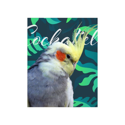 Gray Cockatiel Matte Poster