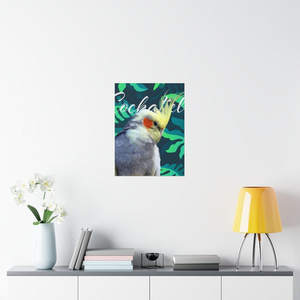 Gray Cockatiel Matte Poster