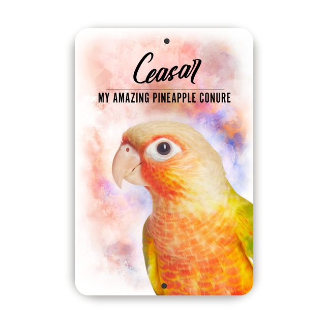 Pineapple Conure Personalized Aluminium Sign