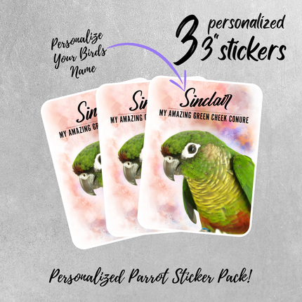 Personalize Green Cheek Conure Sticker