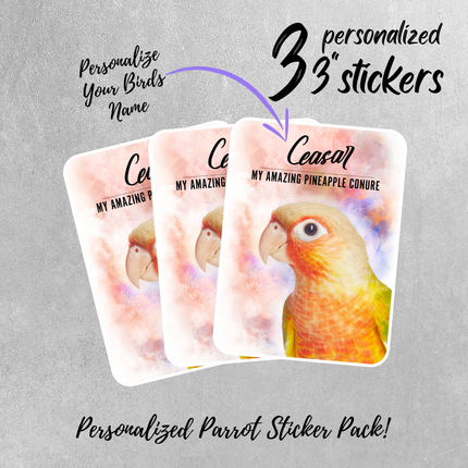Personalized Pineapple Conure Sticker