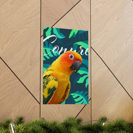 Sun Conure Matte Poster