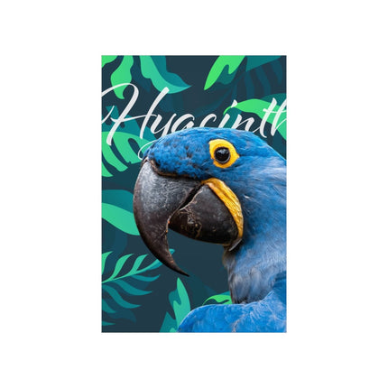 Hyacinth Macaw Matte Poster