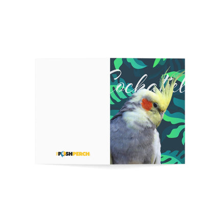 Grey Cockatiel Folded Greeting Cards (1, 10, 30, and 50pcs)