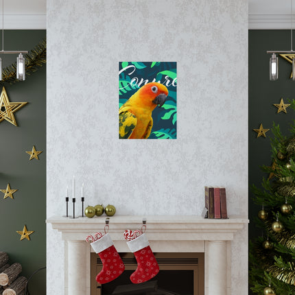 Sun Conure Matte Poster