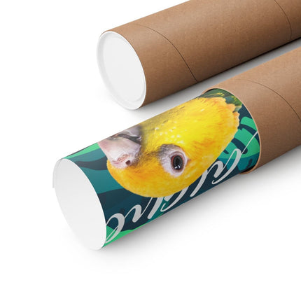 Caique Matte Poster