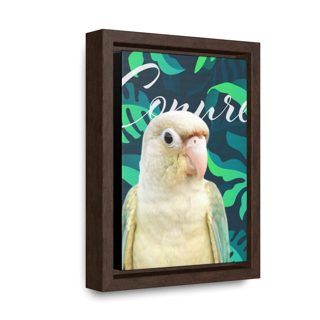 Green Cheek Conure Gallery Canvas