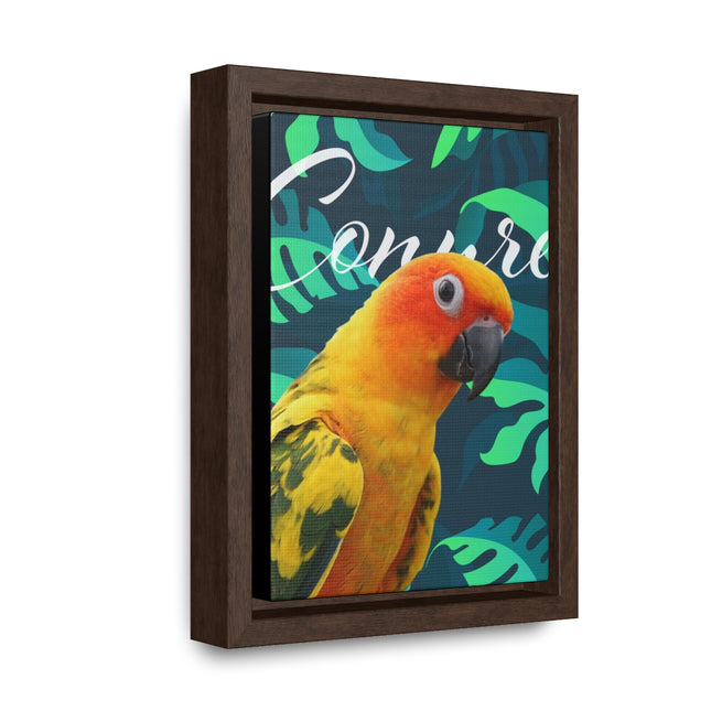 Sun Conure Gallery Canvas