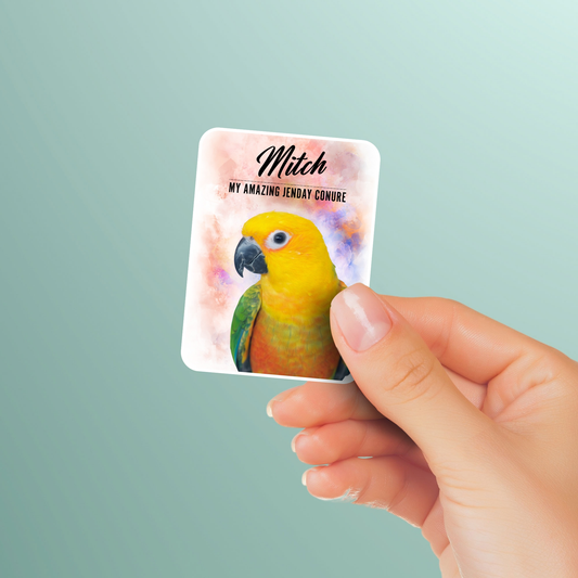 Personalized Jenday Conure Sticker Pack
