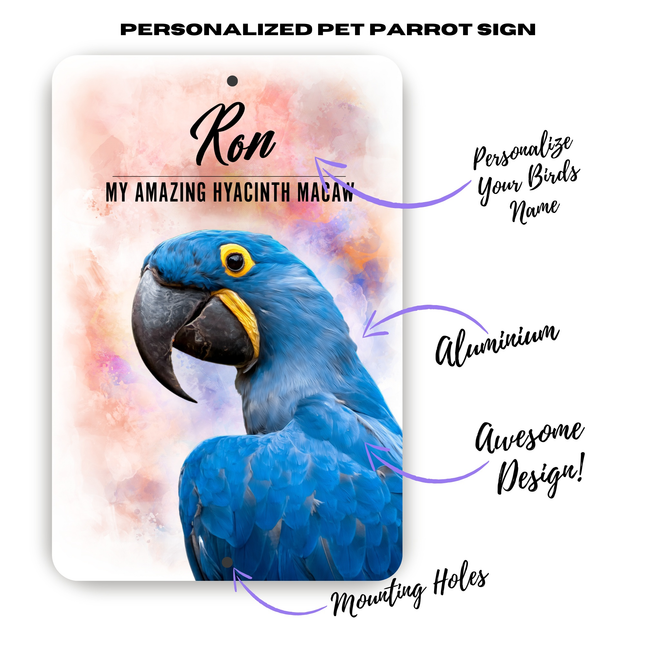 Hyacinth Macaw Gift